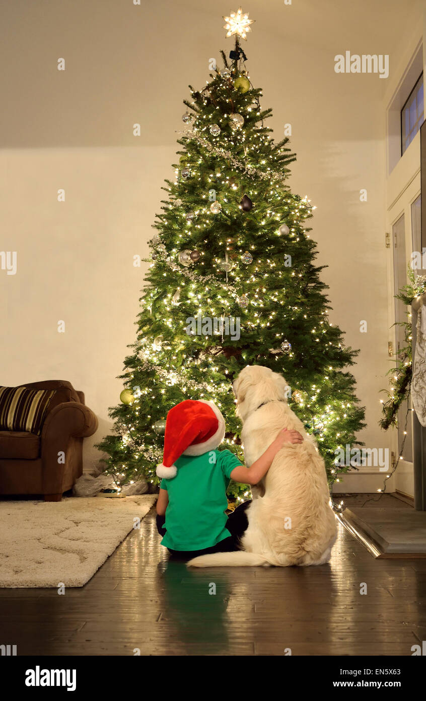 WEIHNACHTSBAUMHUND Junge 4-6 Jahre und sein Haustier Hund sitzen Blick auf ihren Weihnachtsbaum beleuchtet zu Hause Stockfoto