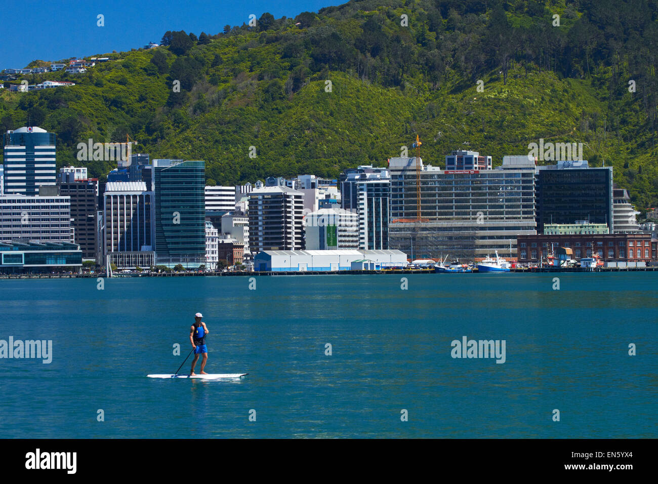Stehen Sie Paddel-Boarder, Wellington Harbour und CBD, Wellington, Nordinsel, Neuseeland auf Stockfoto