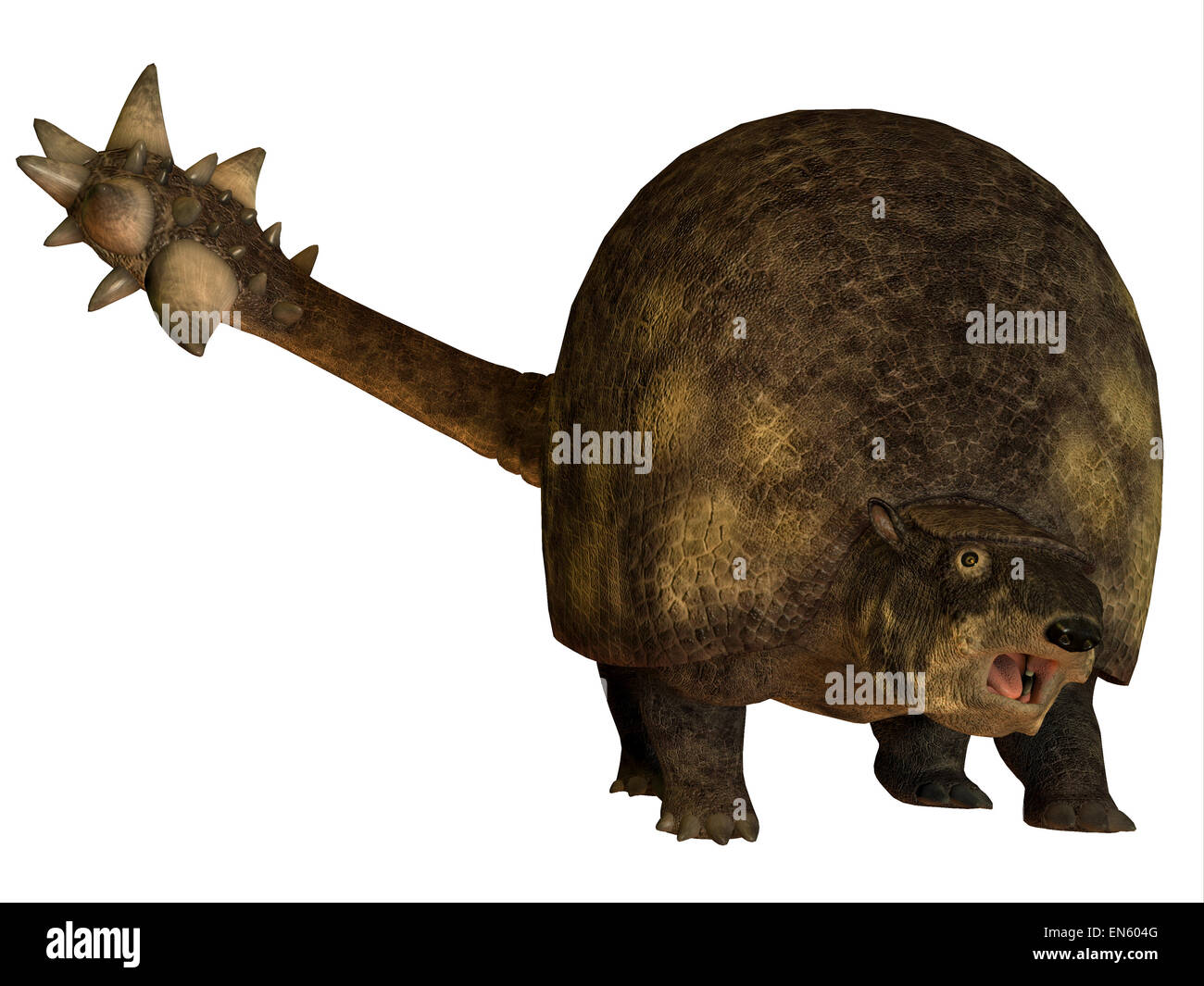 Glyptodont war eine große pflanzenfressende Säugetier, das in der Pleistocene Periode von Nord- und Südamerika lebte. Stockfoto