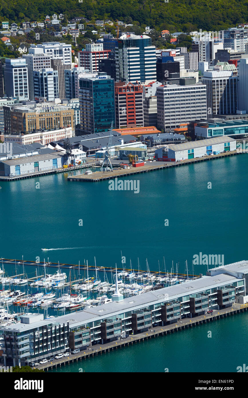 Blick auf Wellington CBD, Hafen und Chaffers Marina, von Mount Victoria Lookout, Wellington, Nordinsel, Neuseeland Stockfoto