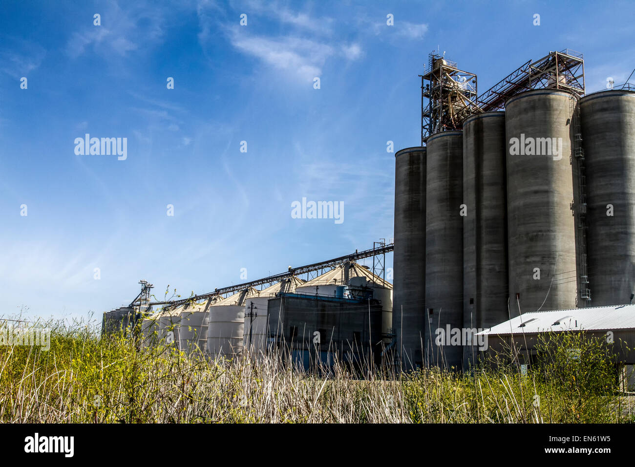 Verlassene Silos in Nordkalifornien Stockfoto