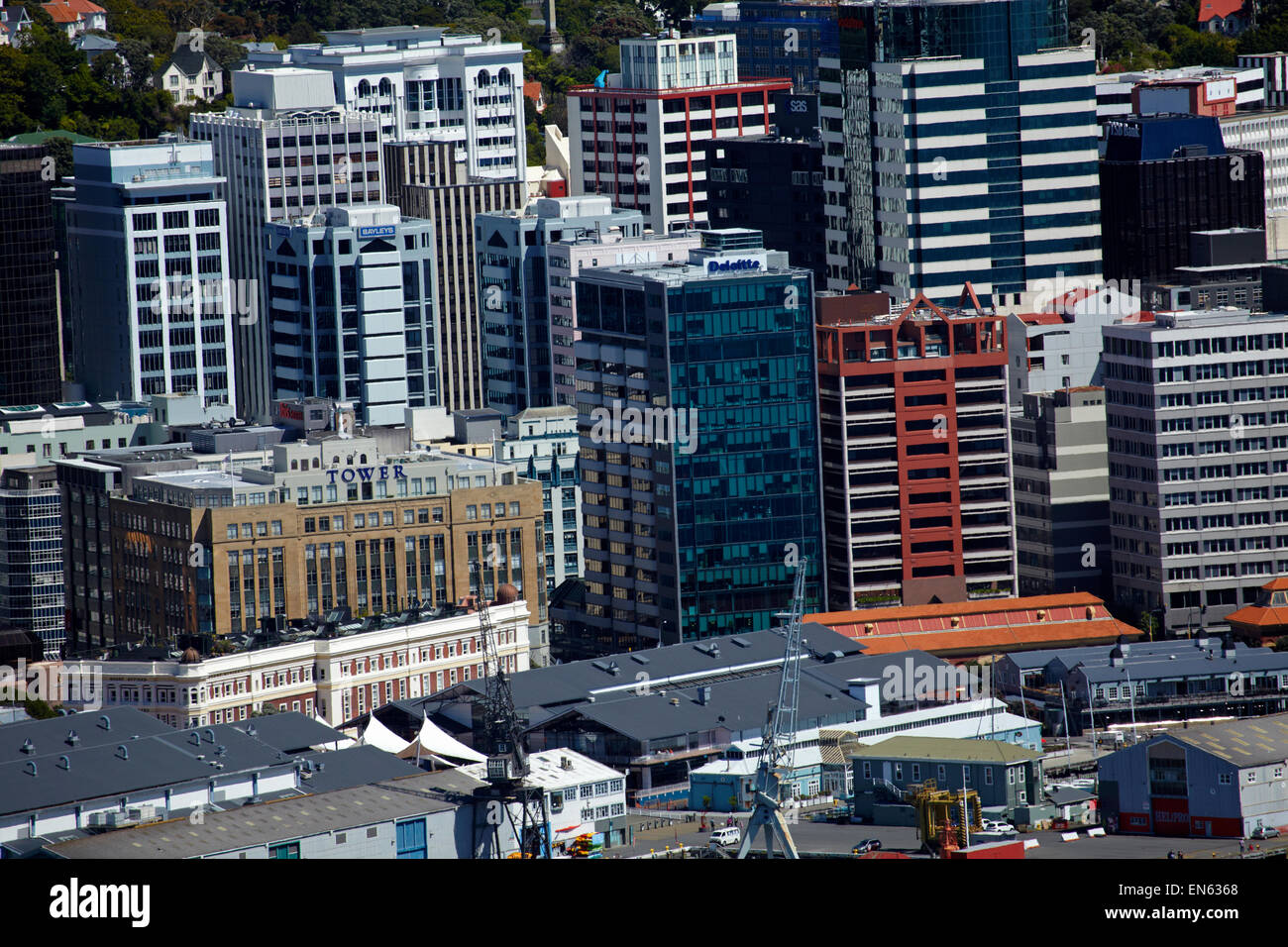 Central Business District, Wellington, Nordinsel, Neuseeland Stockfoto