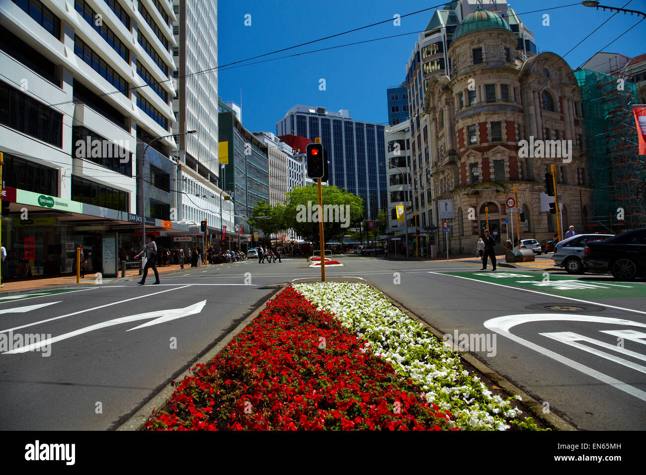 Blumen und Bürogebäuden, Lambton Quay, Wellington, Nordinsel, Neuseeland Stockfoto