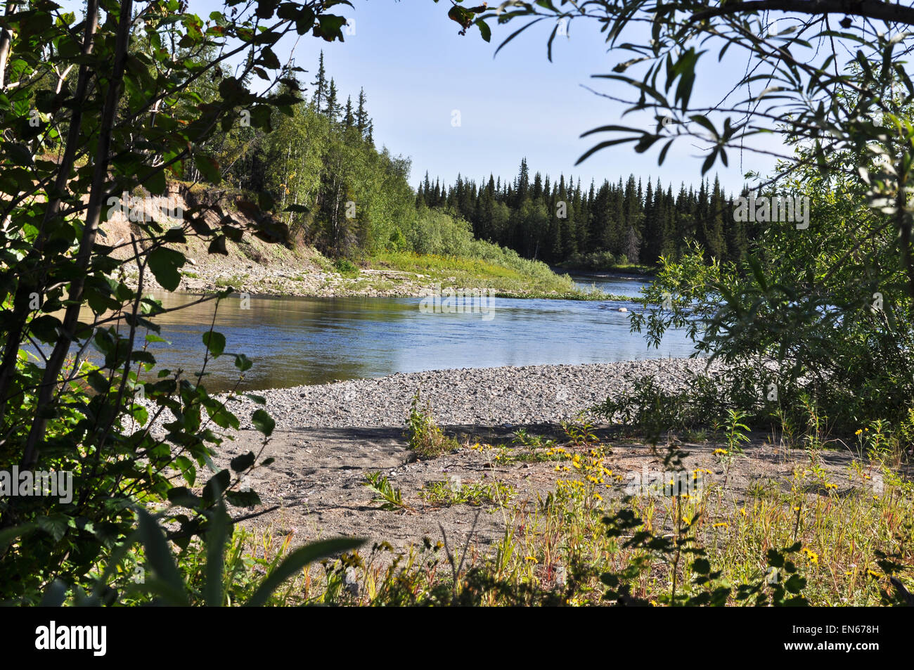 Blick auf den Fluss durch die Büsche. Polaren Ural, Republik Komi, Russland. Stockfoto