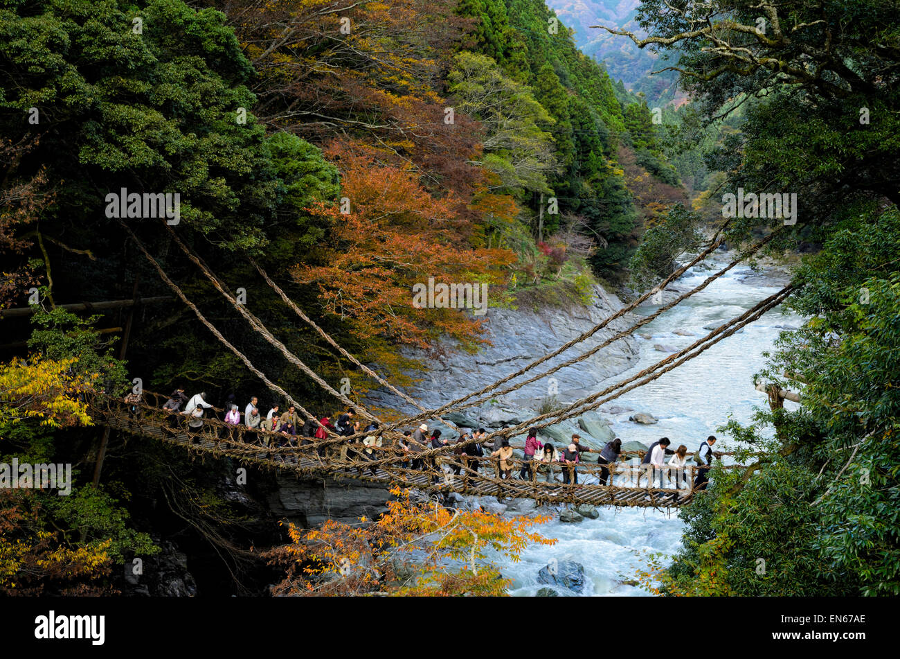 Japanische Leute überqueren die berühmte Rebe Brücke an Kazurabashi, Iya Valley, Tokushima, Shikoku, Japan. Alte Hängebrücke; Fluss; Herbst Farben Stockfoto