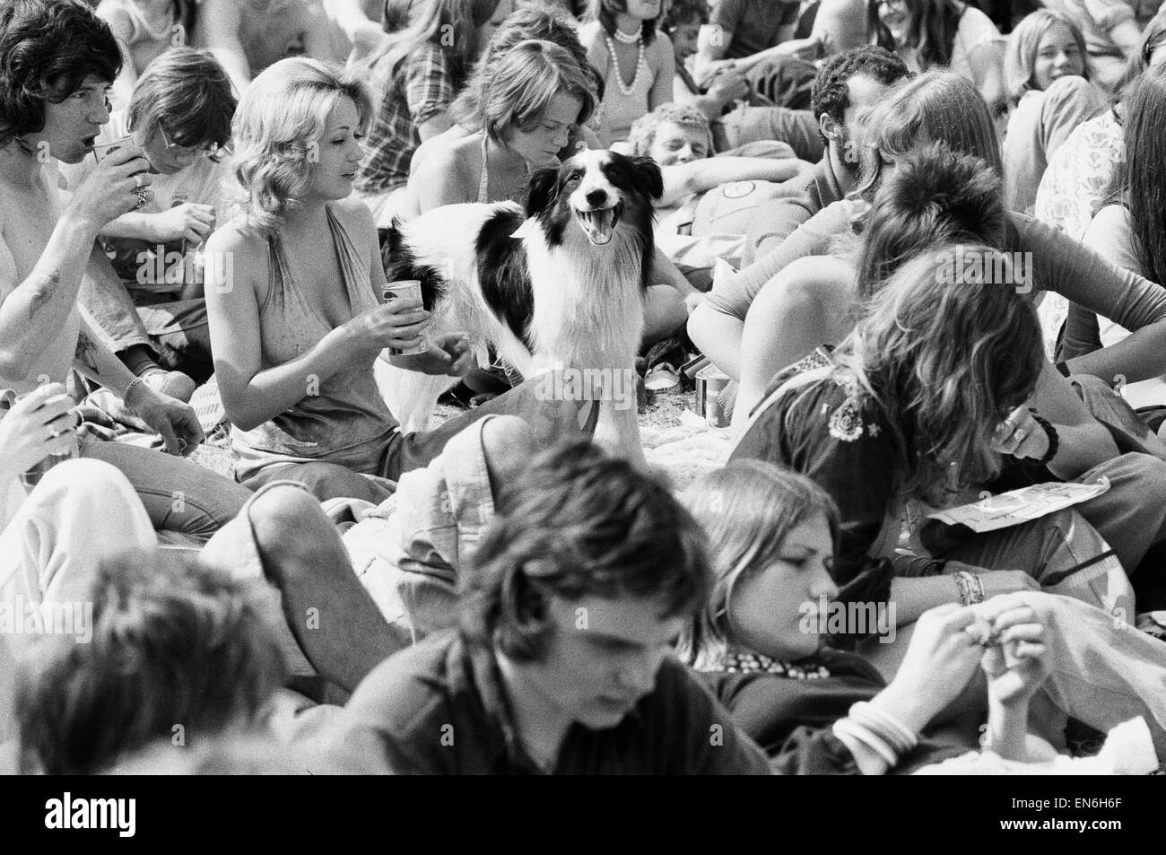 Lesung Pop Festival. Festivalbesucher mit ihrem Haustier Hund beobachten die Bands auf der Hauptbühne. 24. August 1973. Stockfoto