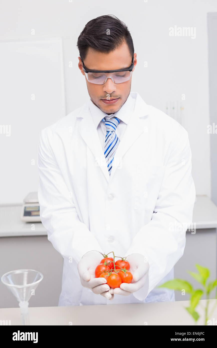 Wissenschaftler mit Schutzbrille mit Tomaten Stockfoto