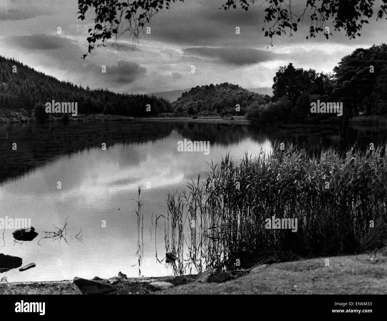 Loch Ard, einen Körper des Süßwassers in den Loch Lomond und Trossachs National Park, Bezirk Stirling, Schottland, 31. August 1946. Im Bild von der Straße in der Nähe von Aberfoyle. Stockfoto