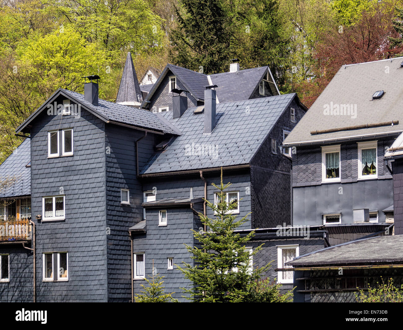Dach Schiefer Häuser im Thüringer Wald (Deutschland) Stockfoto