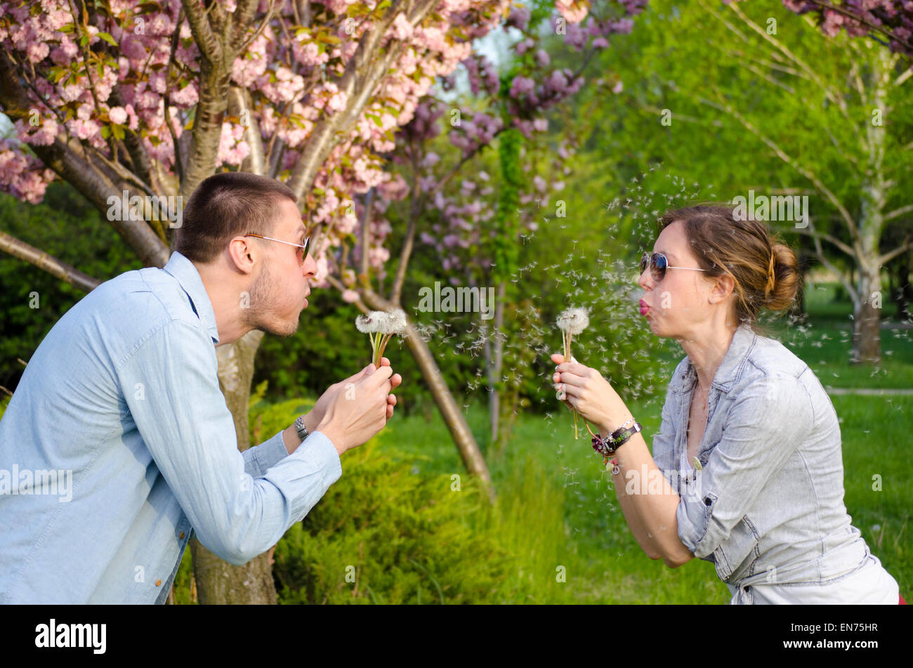 Großer Kerl und Brünette Mädchen bläst Löwenzahn im park Stockfoto