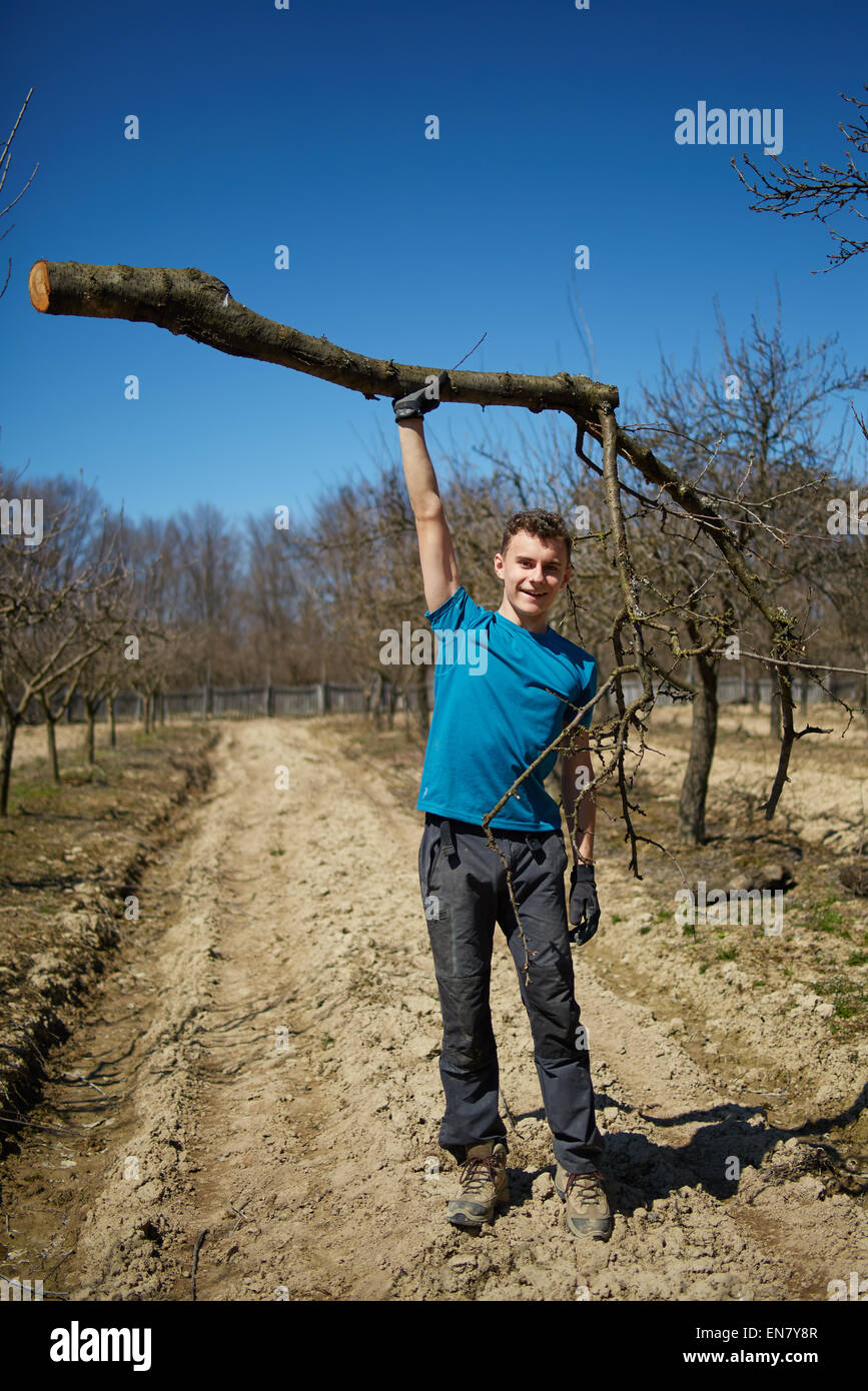 Leistungsstarke Jugendliche anheben einen ausgeschnittenen Baumstamm mit einem Arm in einem Obstgarten auf Frühling Stockfoto