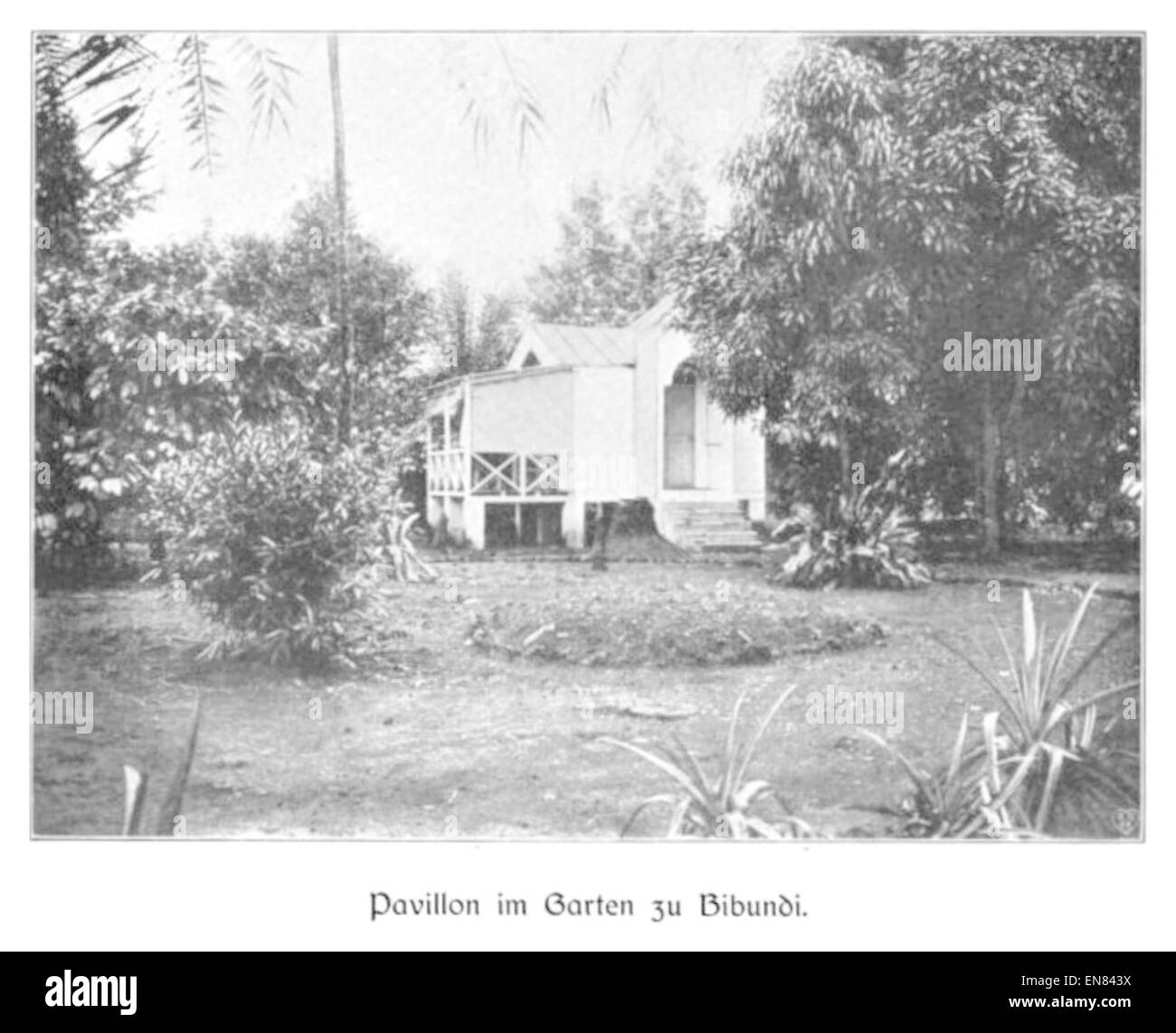 WOHLTMANN(1904) p039 Garten-Pavillon in Bibundi Stockfoto