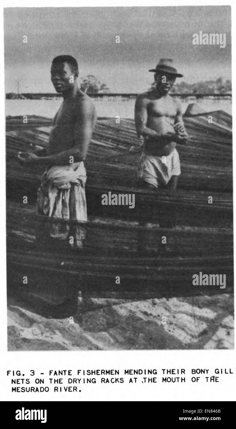 (1956) Fisherie in Liberia Fig.03 Stockfoto