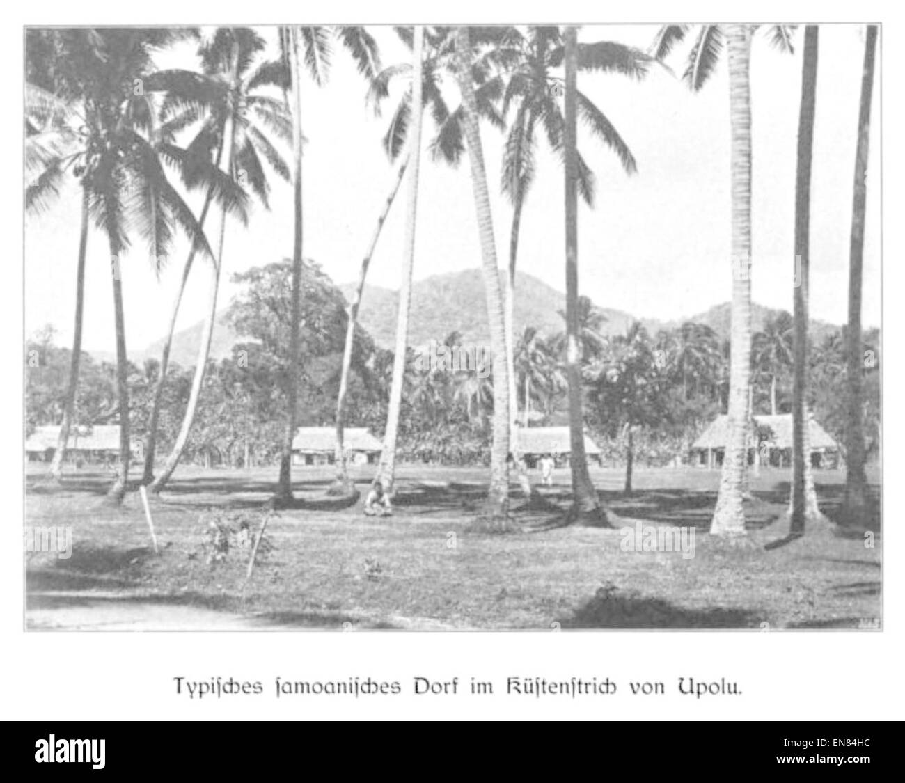 Diese Illustration von Wohltmann aus dem Jahr 1904 zeigt ein typisch samoanisches Dorf an der Küste von Upolu, das traditionelle Architektur und das lokale Leben im frühen 20. Jahrhundert beleuchtet. Stockfoto