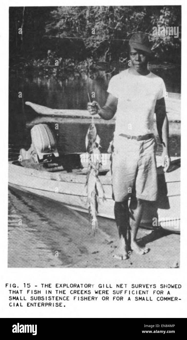 (1956) Fisherie in Liberia Fig.15 Stockfoto