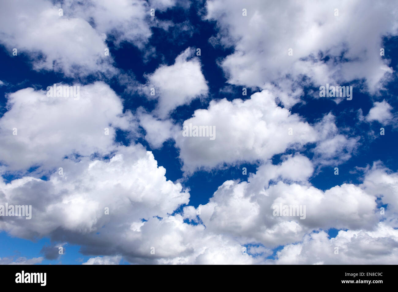 weiße Wolken in einem tiefblauen Himmel Stockfoto