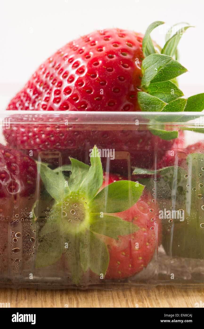 Dicke reife Erdbeeren in Plastik Körbchen Stockfoto