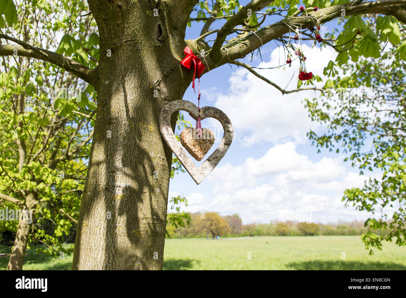 Eine herzförmige Futterhäuschen hängt an einem Baum Stockfoto