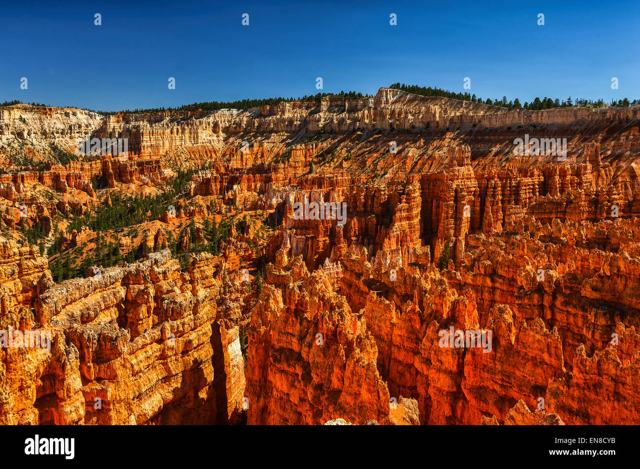 Bryce Canyon, utah Stockfoto