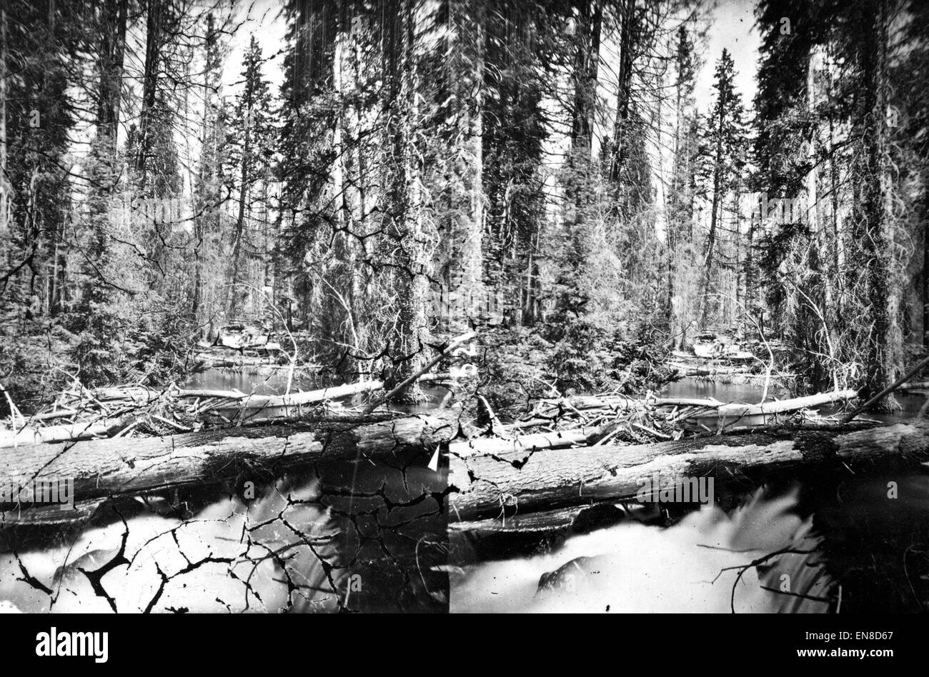 Diese Studie am linken Fork des Teton River im Lincoln County gibt Einblicke in die ökologischen und ökologischen Eigenschaften des Gebiets. Es enthält Daten über die Gesundheit von Flüssen, die Tierwelt und die Wasserbewirtschaftungsstrategien. Stockfoto