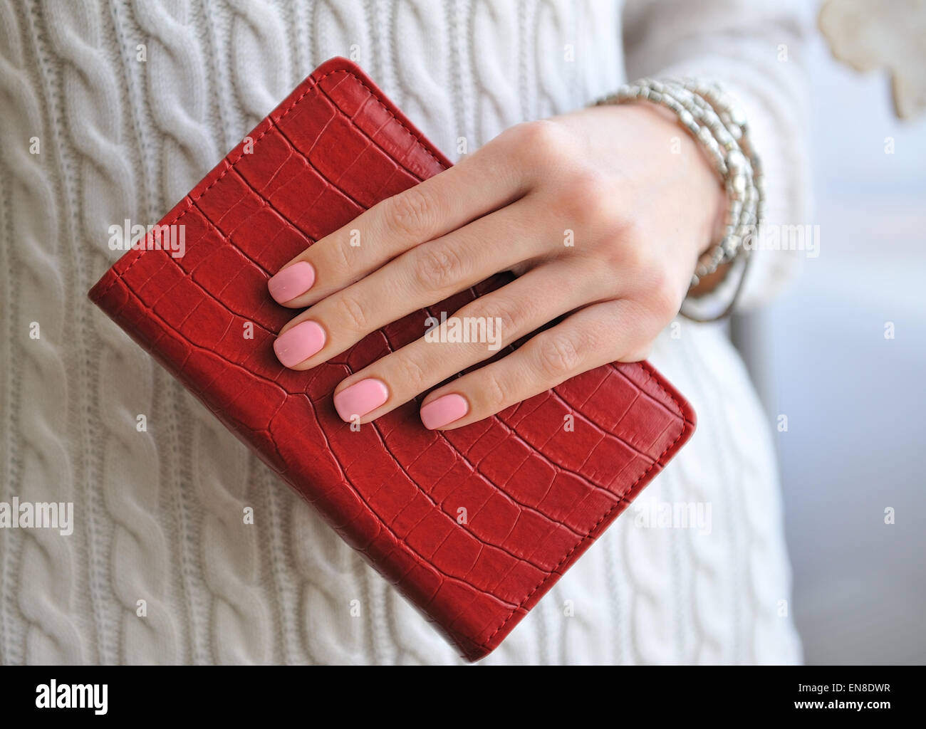 Rot Notebook in eine weibliche schöne hand Stockfoto