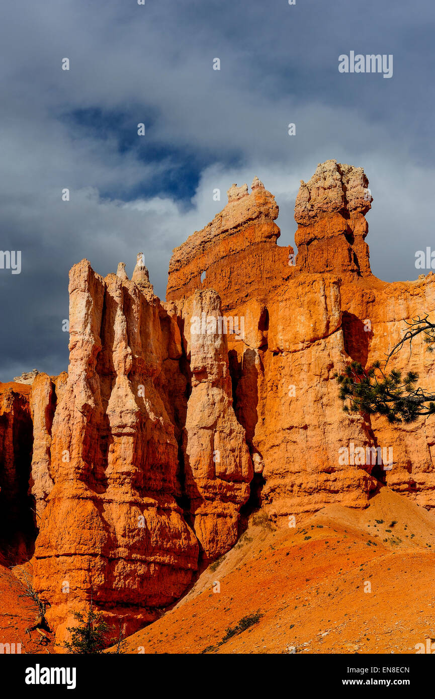 Bryce Canyon, Ut, usa Stockfoto