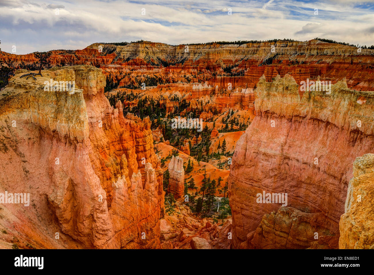 Bryce Canyon, ut Stockfoto
