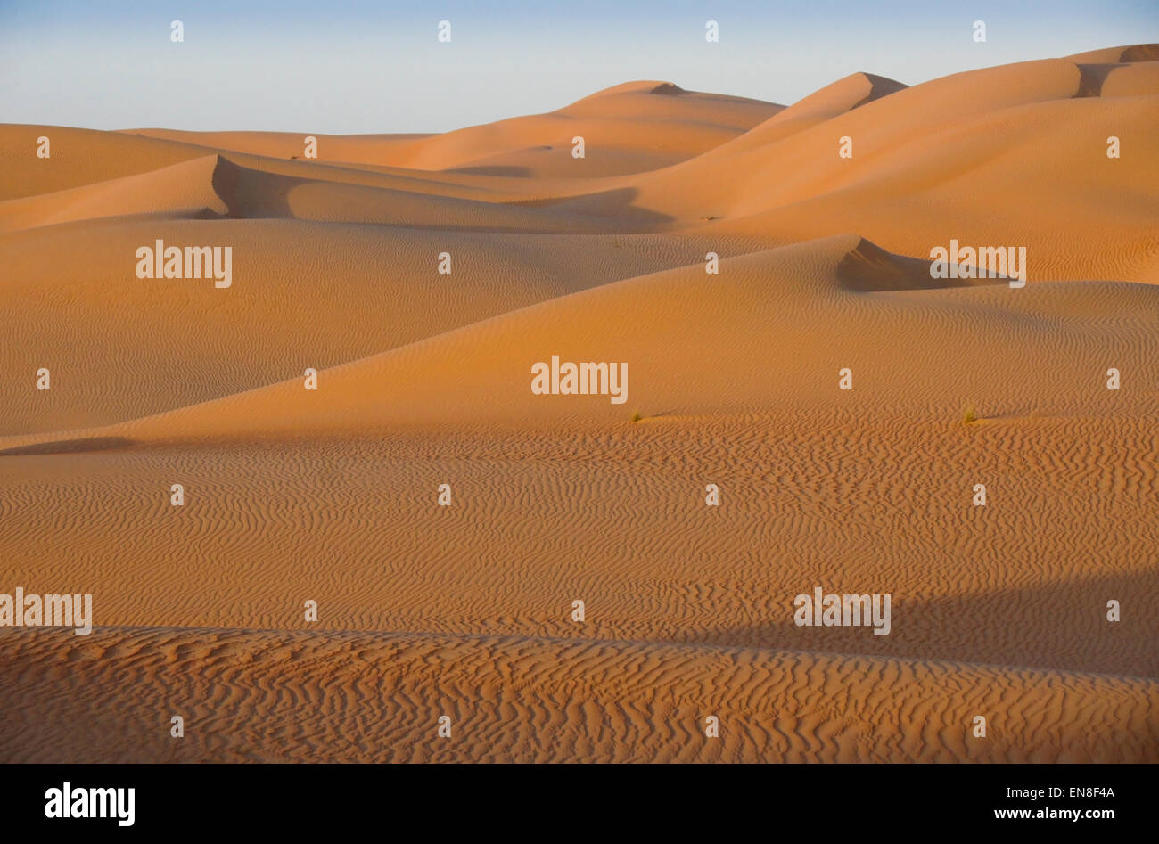 Konturen der Sanddünen am Liwa, Abu Dhabi, Vereinigte Arabische Emirate Stockfoto