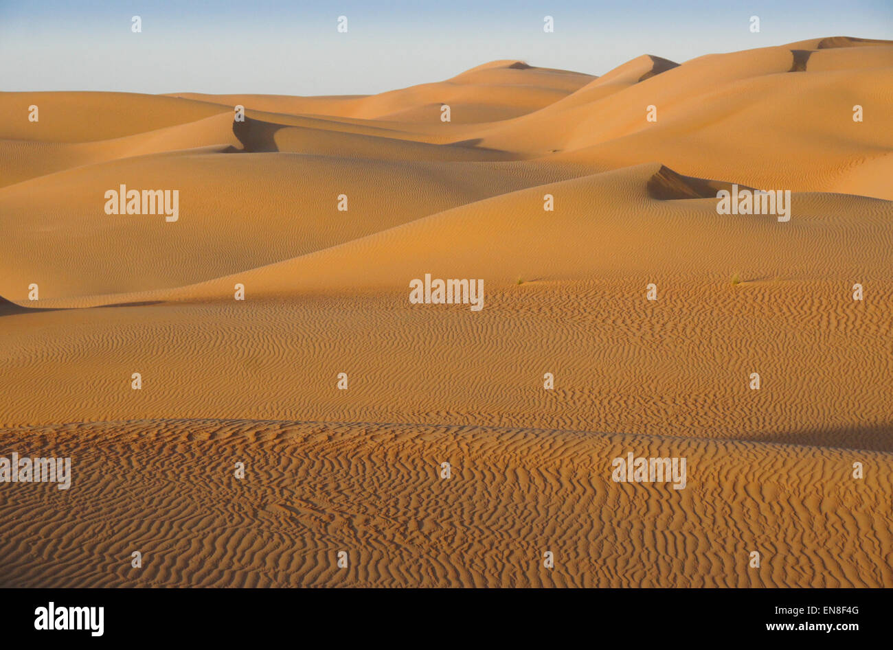 Konturen der Sanddünen am Liwa, Abu Dhabi, Vereinigte Arabische Emirate Stockfoto