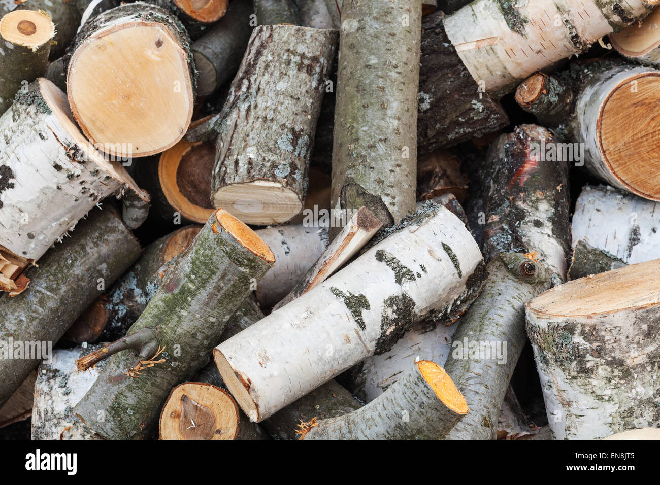 Großer Haufen Brennholz, frisch Aspen und Birke Unterlegkeile lag im freien Stockfoto