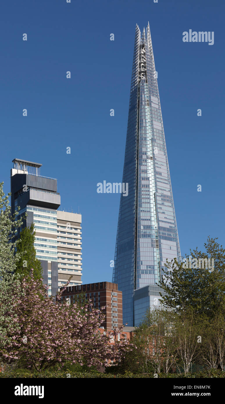 Guys Hospital und die Scherbe, Bermondsey, London, England, Vereinigtes Königreich Stockfoto