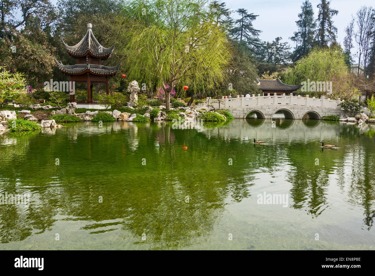 Chinesischer Garten an der Huntington. Stockfoto