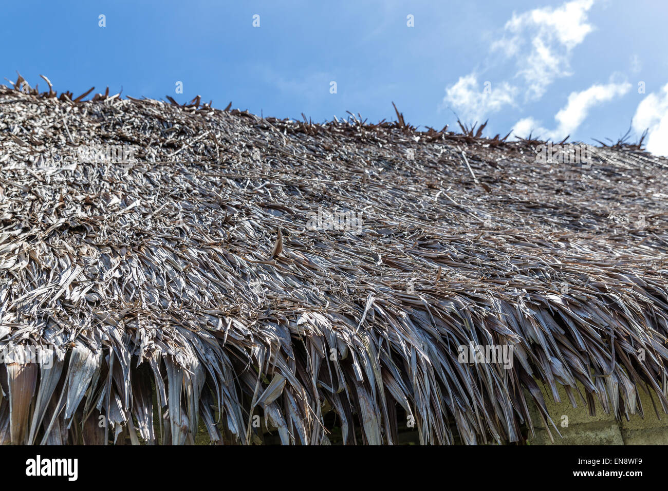 Traditionellen Reetdach auf Espiritu Santo, Vanuatu Stockfoto