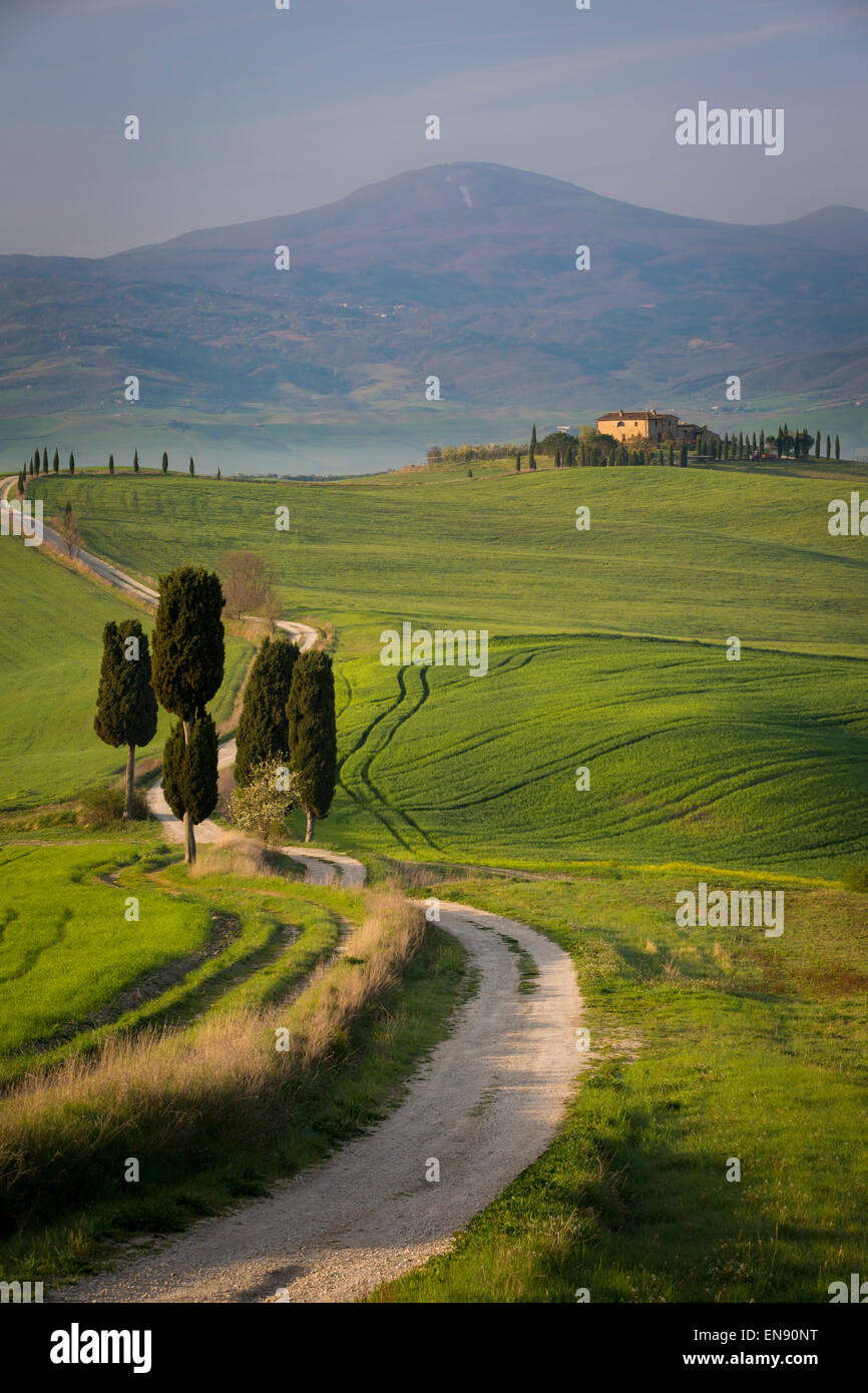 Zypressen und kurvenreiche Straße, Villa in der Nähe von Pienza, Toskana, Italien Stockfoto