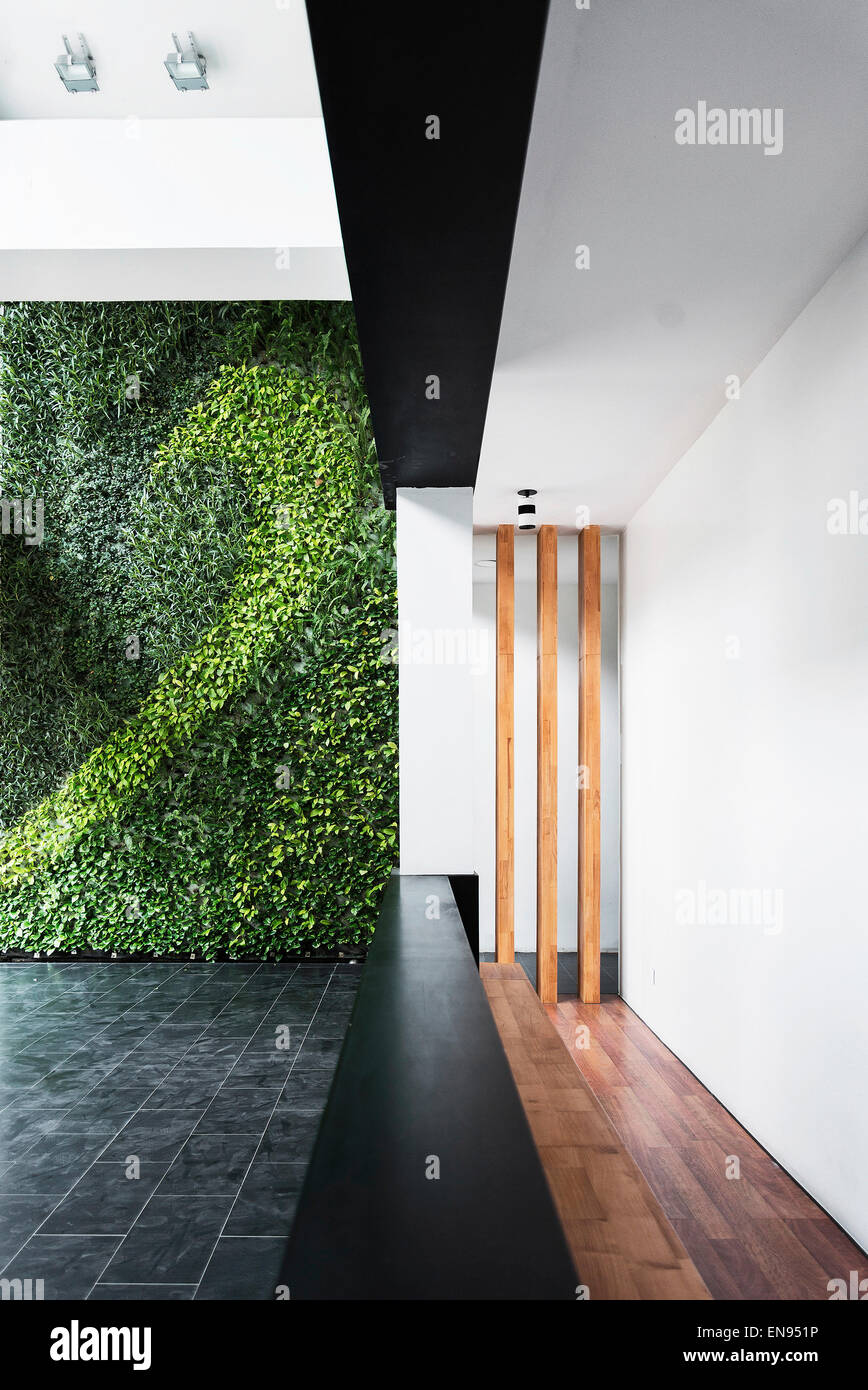 moderne Architektur minimal Stil eingerichtet mit vertikalen Gartenpflanze Wand Stockfoto