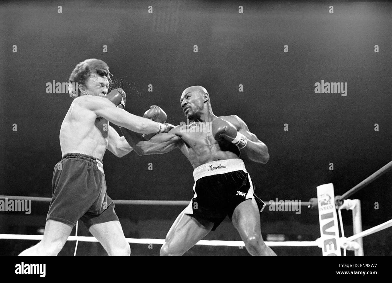 Marvin Hagler gesehen hier in Aktion gegen Tony Sibson im DCU Center, Worcester, Massachusetts. Hagler ging auf den WBA und WBC Welt-Mittelgewichts-Gürtel gewinnen. 11. Februar 1983 Stockfoto