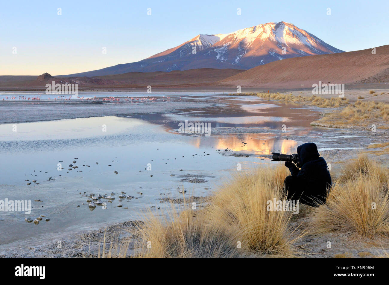 Fotograf auf der Laguna Hedionda ist ein Salzsee in der Nor Lípez Provinz, Abteilung Potosí in Bolivien Stockfoto