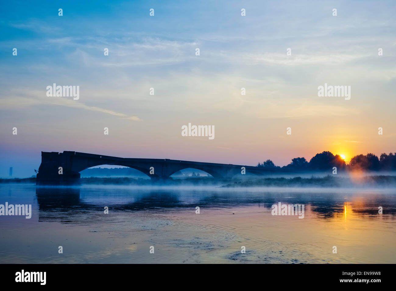Gesprengt, Brücke am Fluss Oder in der Nähe von München, Brandenburg, Deutschland Stockfoto