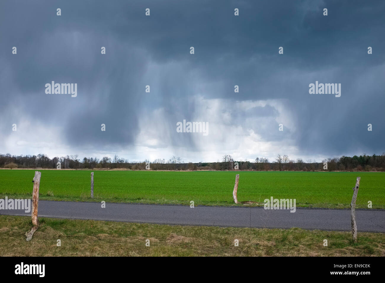 Regenwolken über Felder, Brandenburg, Deutschland Stockfoto