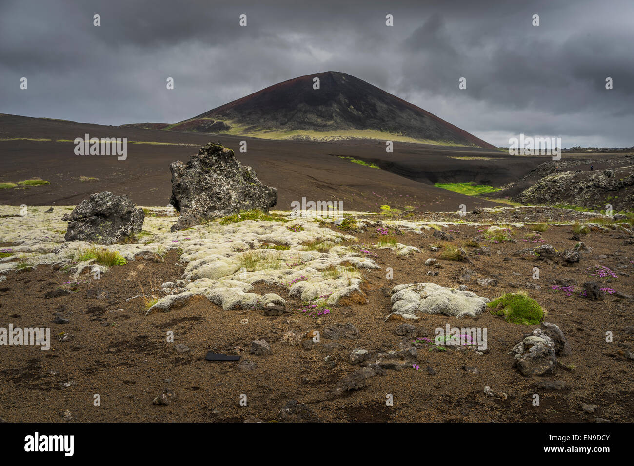 Lava und Moos Landschaft, Berserkjahraun, Snaefellsnes Halbinsel, Island Stockfoto