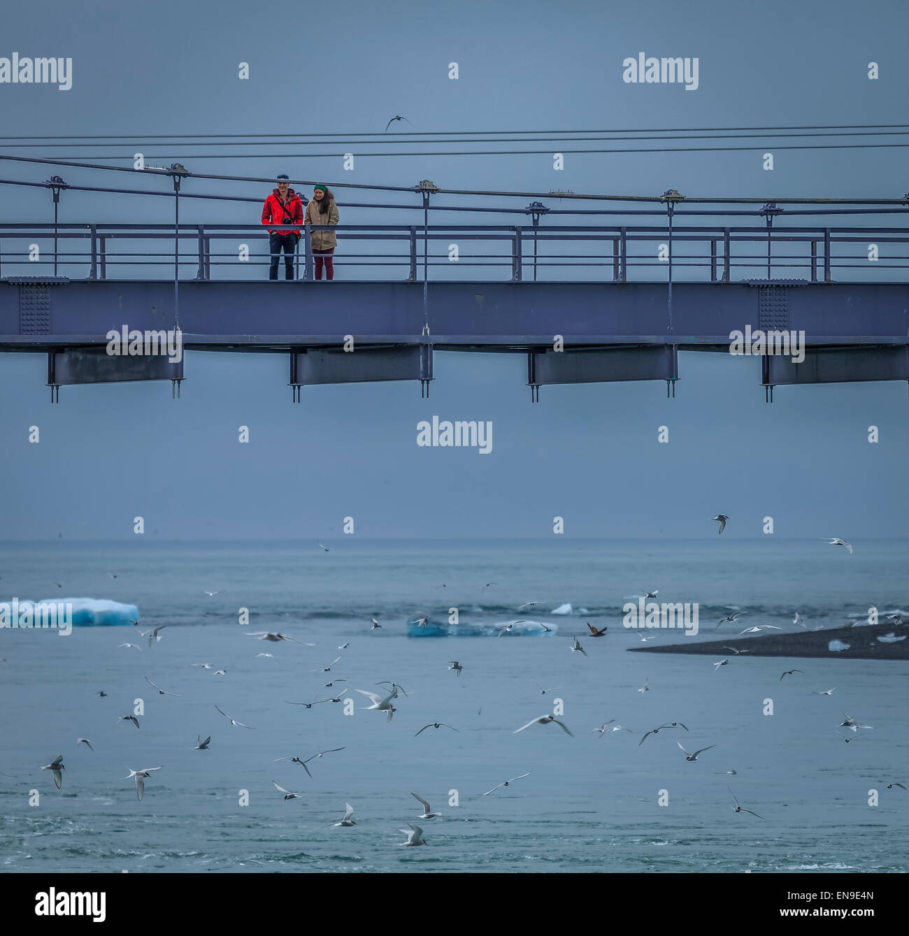 Brücke (Jokulsabru) über Blautbalakvisl, Breidamerkursandur vom Jökulsárlón, Island Stockfoto