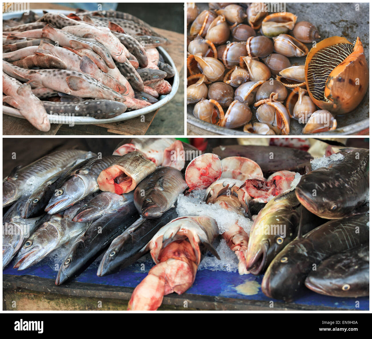 Traditionelle asiatische Fisch Marktstand voller frische Meeresfrüchte Stockfoto