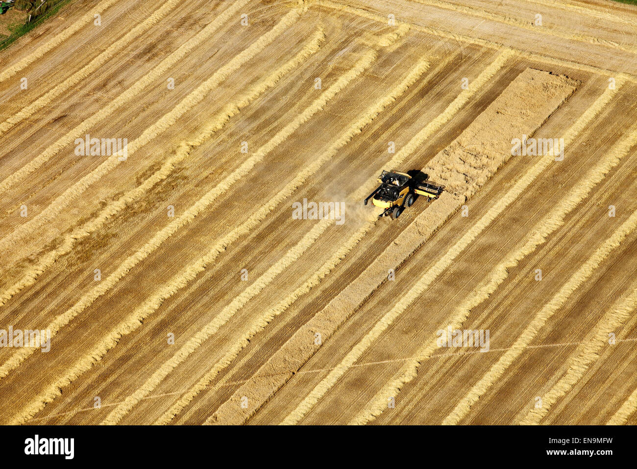 Eine Luftaufnahme von Landmaschinen im Feld beim Ernten von Weizen Stockfoto