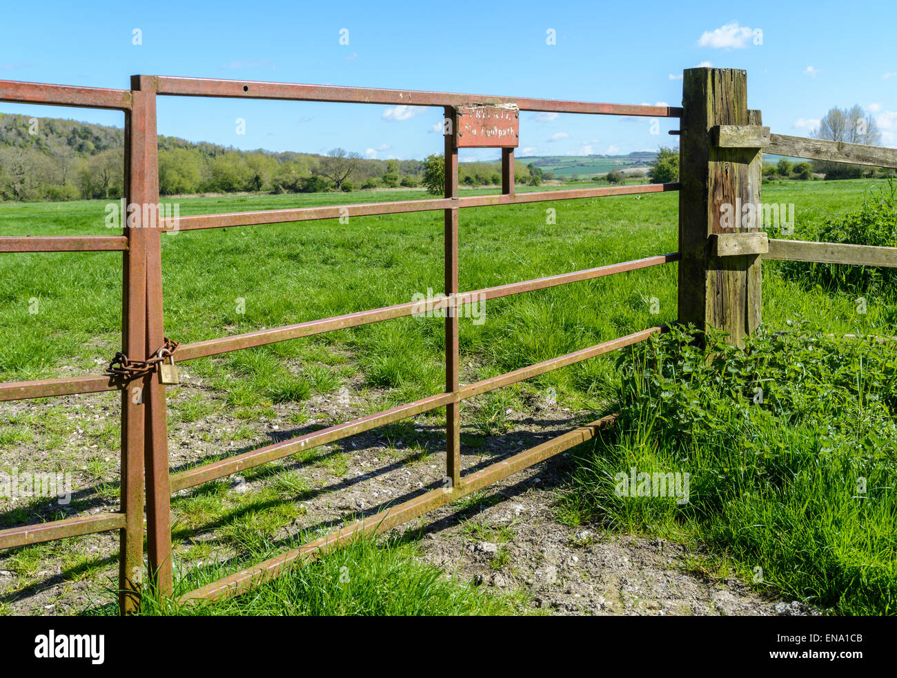 Tor auf einem Feld in der britischen Landschaft in Großbritannien gesperrt. Stockfoto