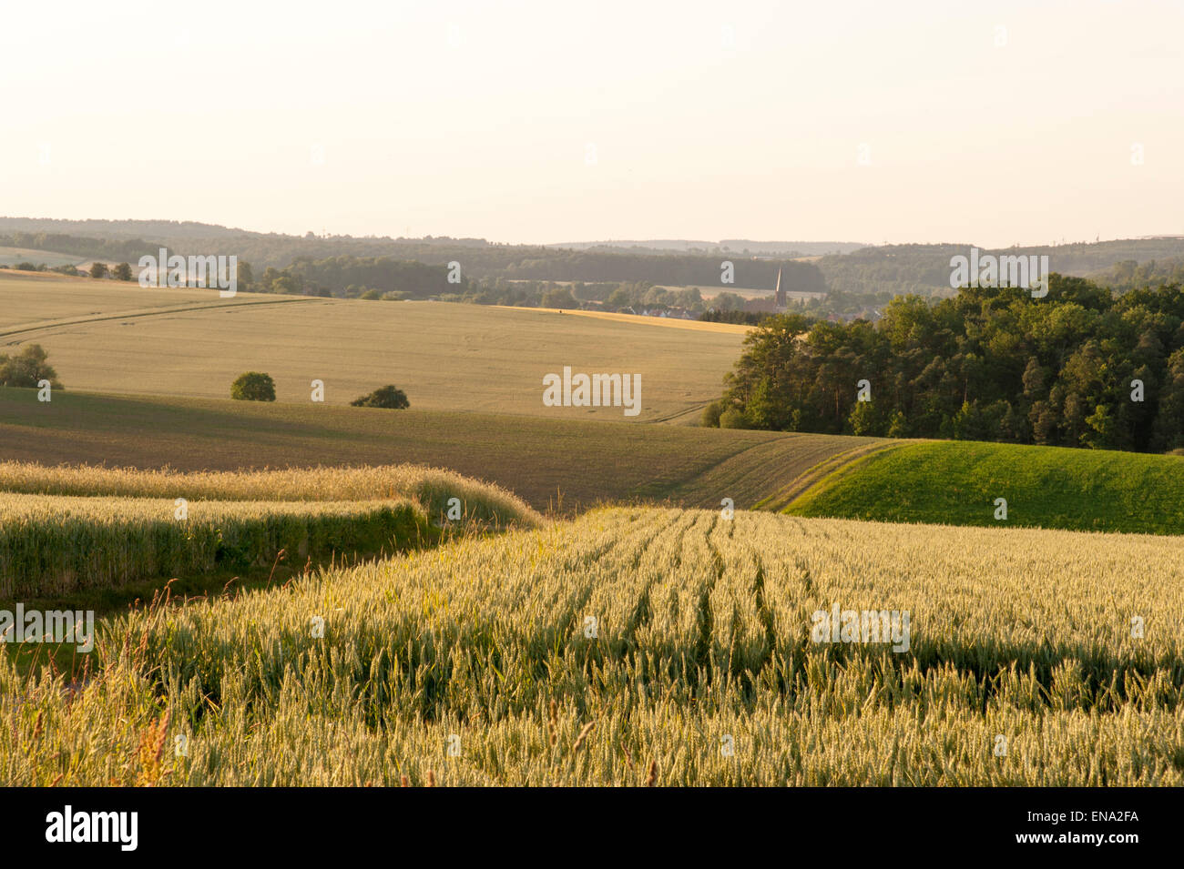 Landseite, Ackerland in Bödigheim, Odenwald, Baden-Württemberg, Deutschland Stockfoto