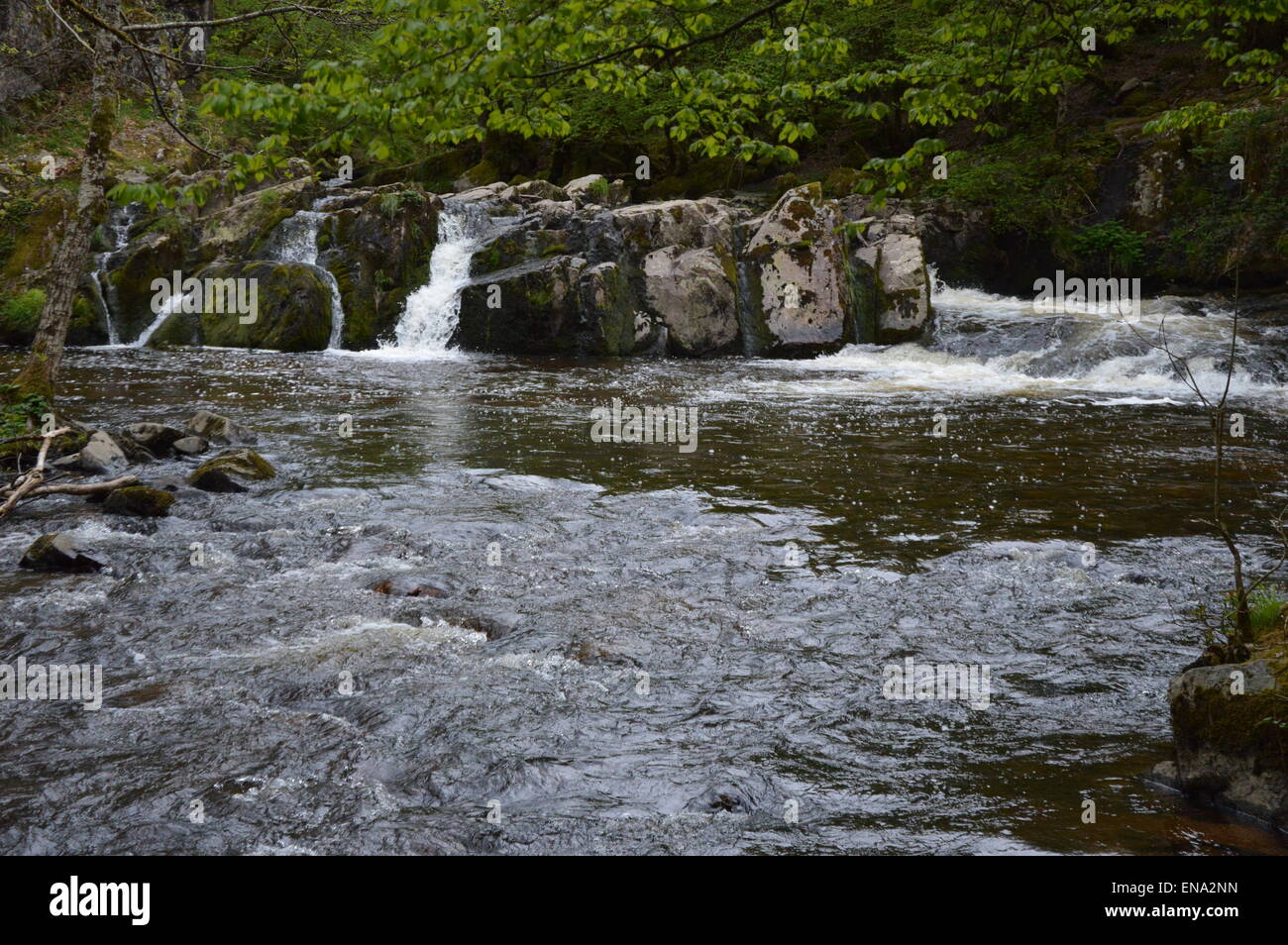 Wasserfall in Frankreich Stockfoto