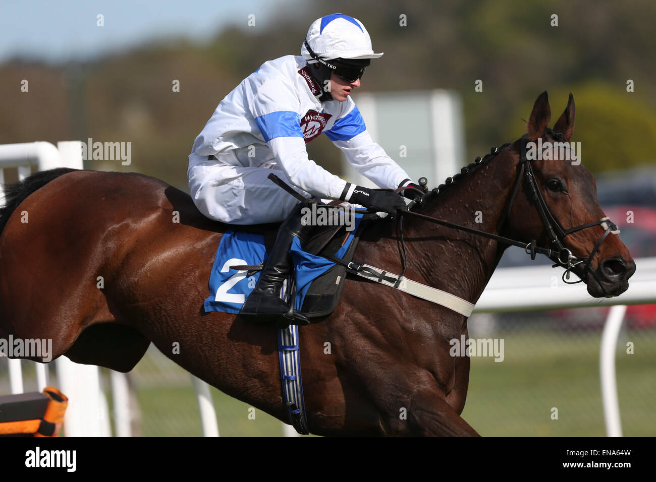 Newton Abbot, UK. 30. April 2015. Newton Abbot Rennen. Blandfords Schütze und Adam Wedge über die Hürde bei der NewtonAbbotRace auf Twitter Maiden Hurdle. Bildnachweis: Aktion Plus Sport/Alamy Live-Nachrichten Stockfoto