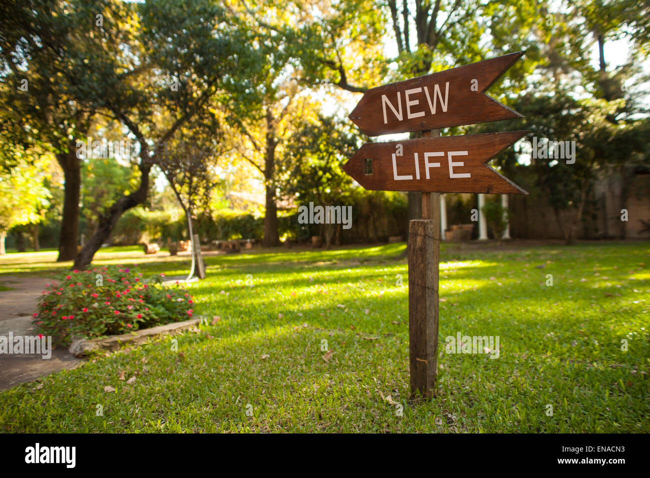 Hölzerne Garten Schild mit der Aufschrift "Neues Leben", zeigt den Weg Stockfoto