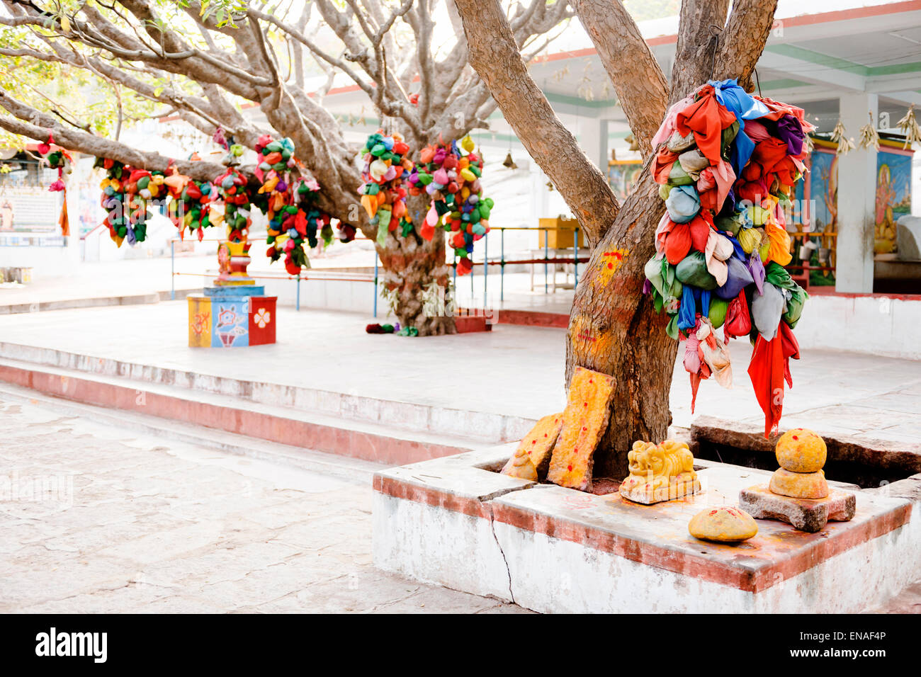 Wünschen Sie Bäume und Schreine in Durgadevi Tempel, Anegundi. Stockfoto