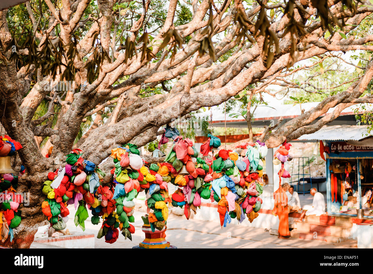 Wünschen Sie Baum im Durgadevi Tempel, Anegundi. Stockfoto